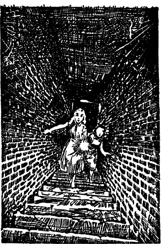 Both girls froze in their tracks CHAPTER I The Haunted House NANCY DREW - photo 2