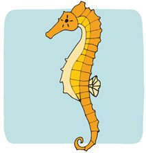 SEAHORSE 3 points One of the coolest things about seahorses is that the - photo 7