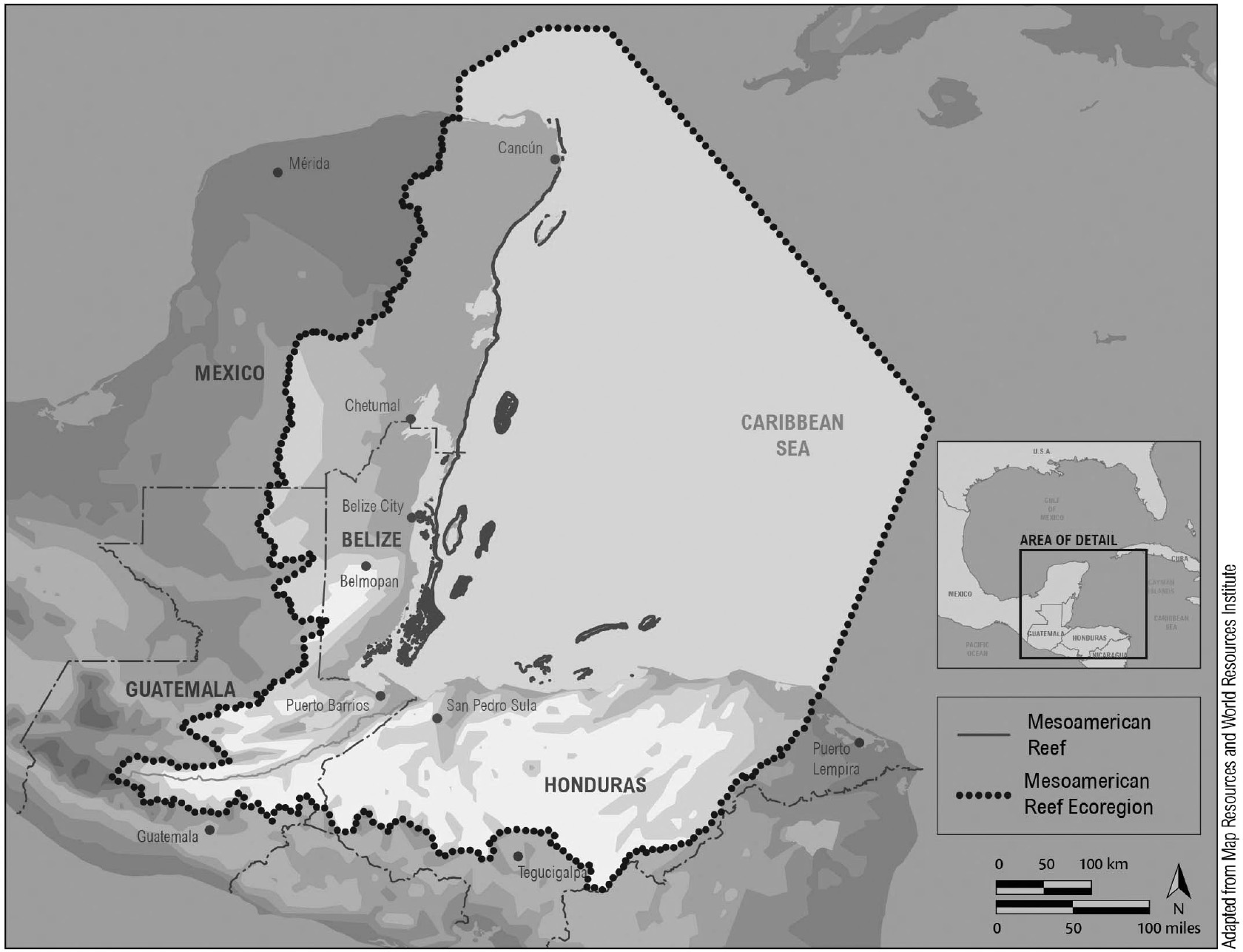 Mesoamerican Barrier Reef Ecoregion courtesy of the Healthy Reefs Initiative - photo 2