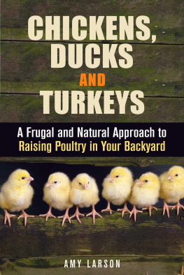 Amy Larson - Chickens, Ducks and Turkeys: A Frugal and Natural Approach to Raising Poultry in Your Backyard