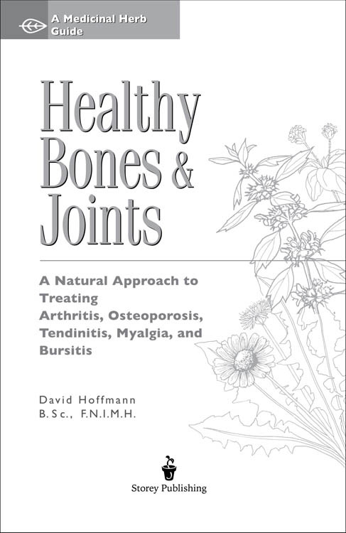 Contents Chapter 1 The Bodys Foundation The skeleton connective tissue - photo 2