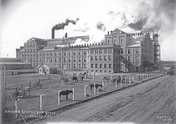 The American Beet Factory was located near Wooley Road and Oxnard Boulevard and - photo 3