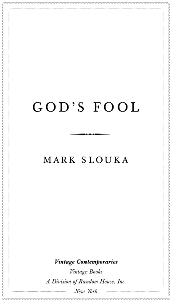 Gods Fool - image 2