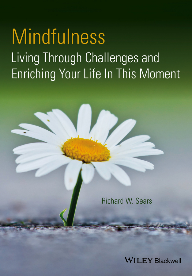 Praise for Mindfulness Living through Challenges and Enriching Your Life in - photo 1