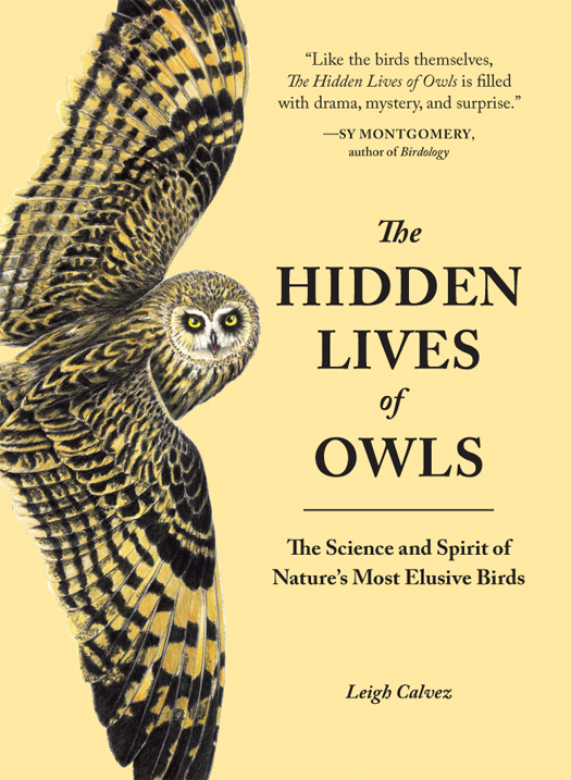 The Hidden Lives Of Owls The Science and Spirit of Natures Most Elusive Birds - image 1