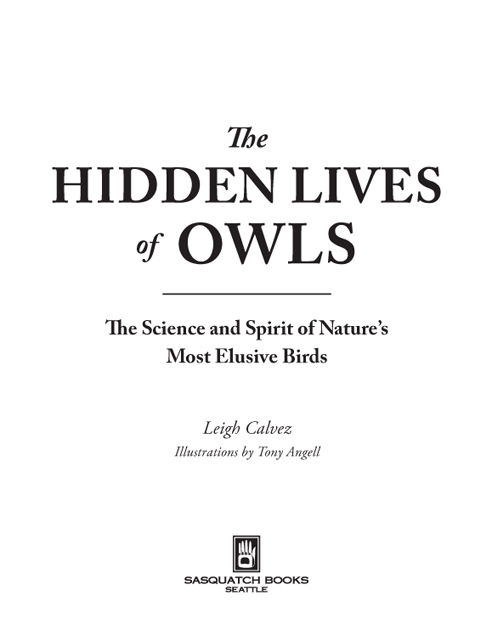 The Hidden Lives Of Owls The Science and Spirit of Natures Most Elusive Birds - image 2