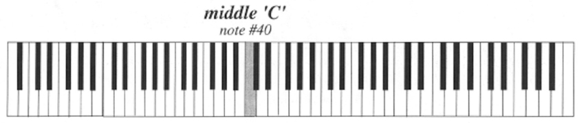 Fig C The numbers on the keys represent the finger numbers for the left hand - photo 3