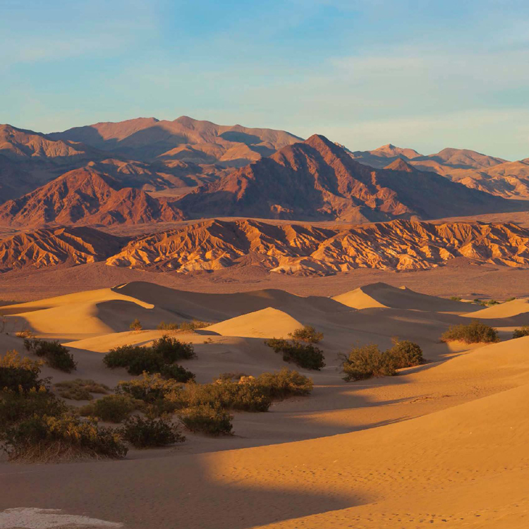 DEATH VALLEY IS NORTH AMERICAS DRIEST AREA IT ONLY RECEIVES ON AVERAGE AROUND - photo 7