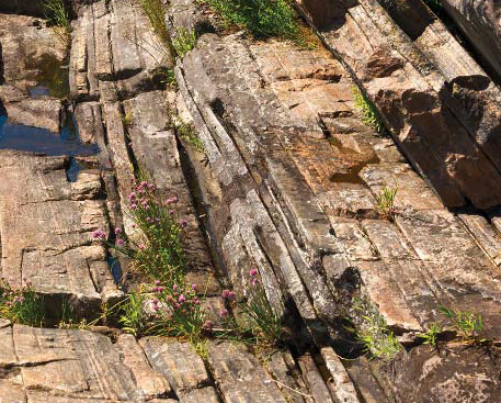 GLACIERS ON THE MOVE About 500000 years ago during a period called the - photo 5