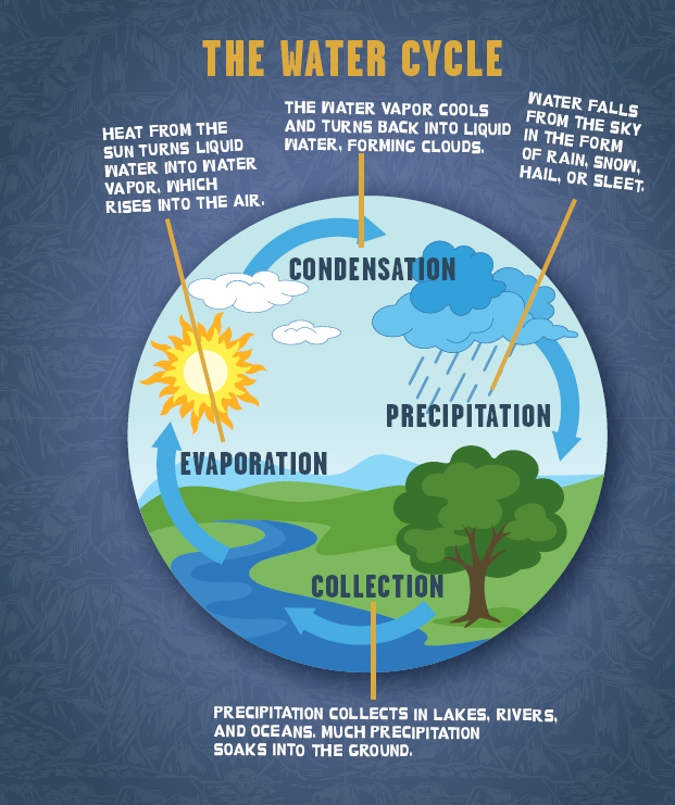 We might not be able to see all the phases of the water cycle but the process - photo 6