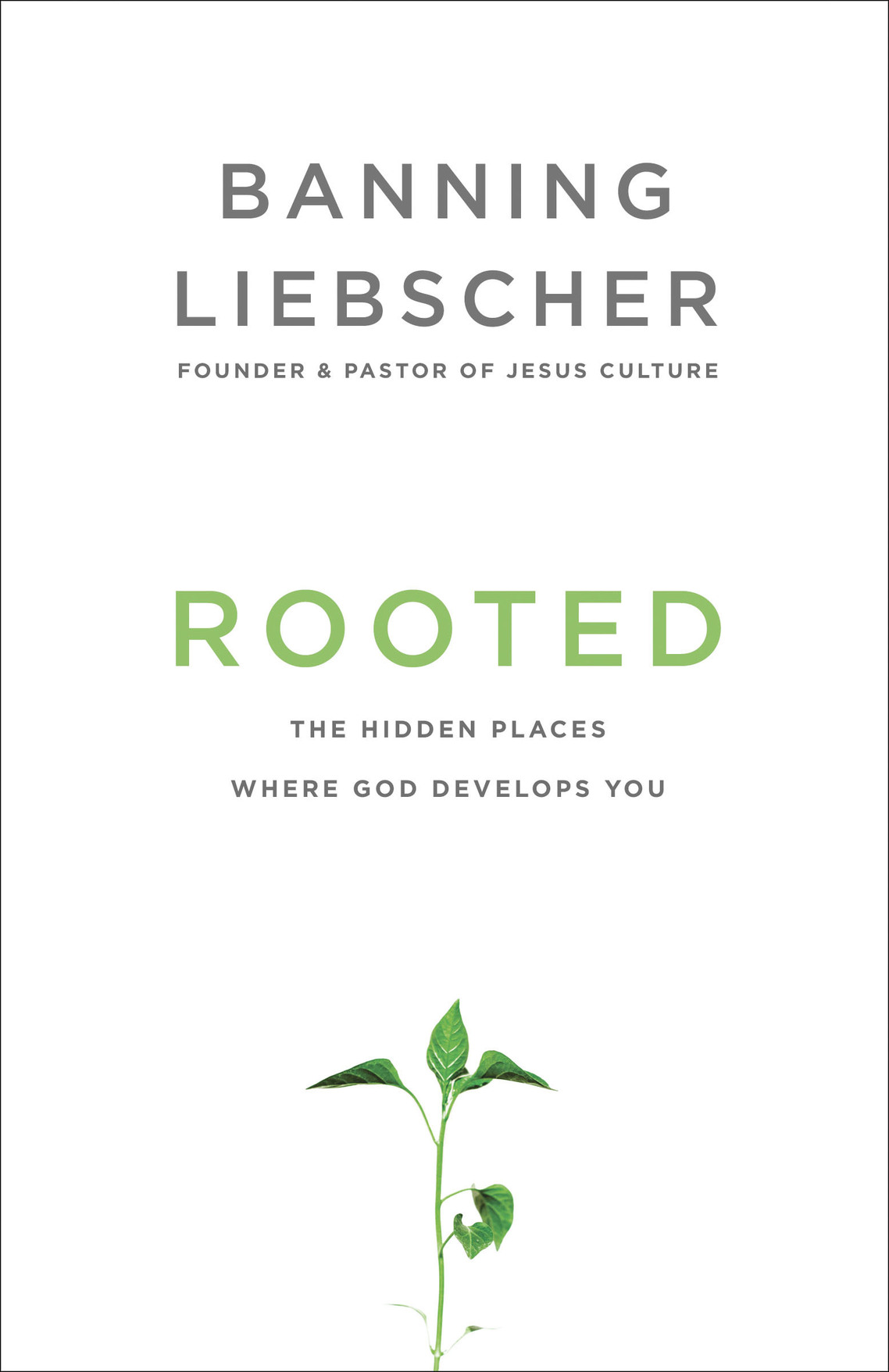 Praise for Rooted So often our culture encourages us toward the quick-fix - photo 1