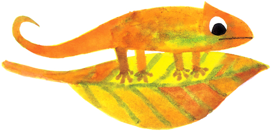 But in autumn the leaf turned yellow and so did the chameleon Later the leaf - photo 20