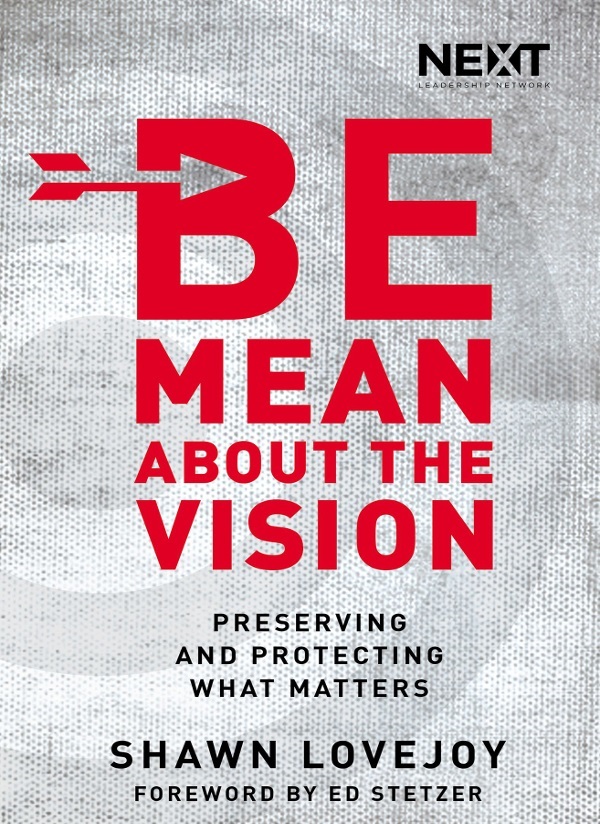 PRAISE FOR BE MEAN ABOUT THE VISION Its easy for ministry leaders to cast a - photo 1