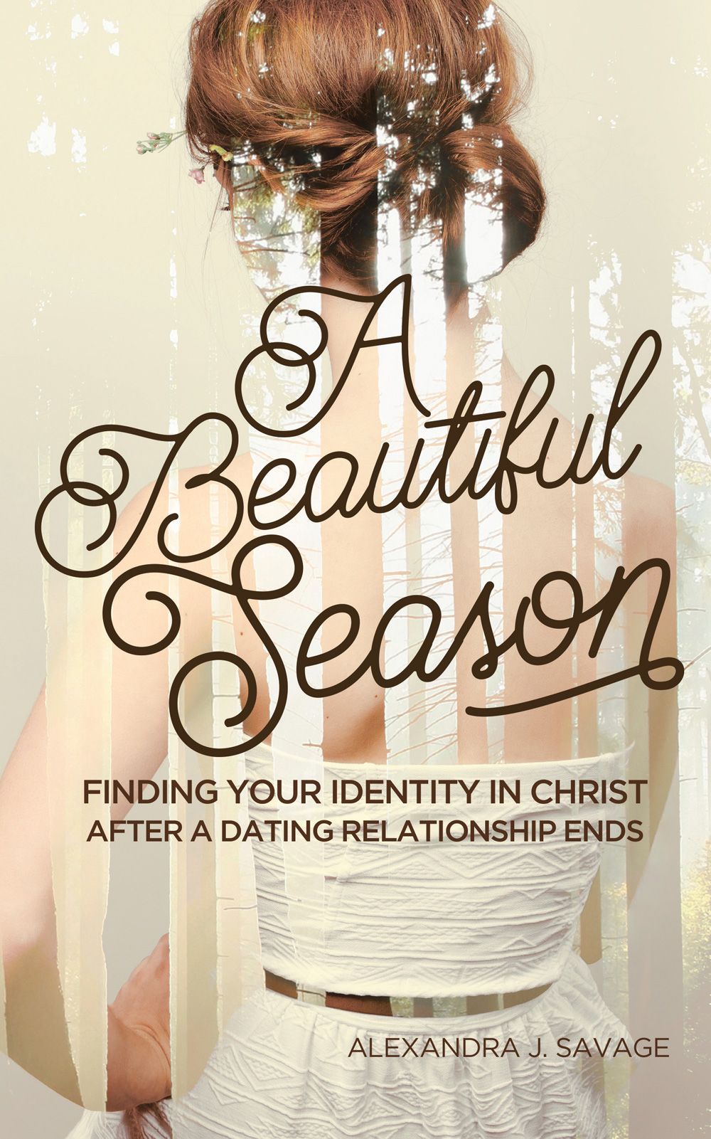 TABLE OF CONTENTS A Beautiful Season Finding your Identity in Christ after a - photo 1