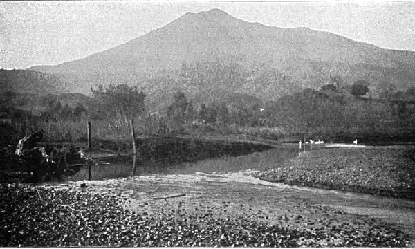 MOUNT TAMALPAIS--NORTH OF THE GOLDEN GATE Here too in the middle region of - photo 2