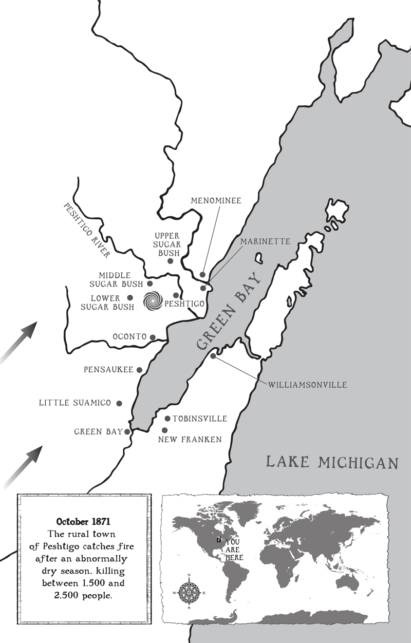 Long ago in northeast Wisconsin a forest grew Hundreds and thousands of acres - photo 11