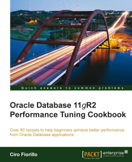 Ciro Fiorillo - Oracle Database 11g R2 Performance Tuning Cookbook