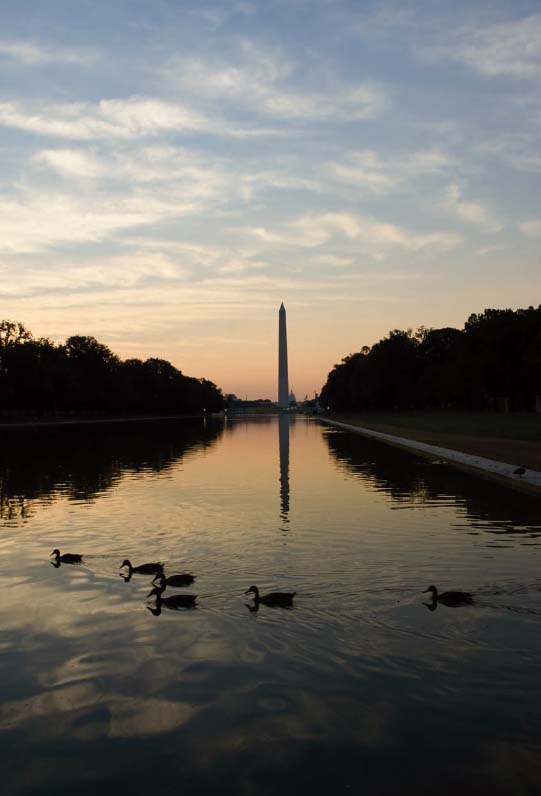 Reflecting Pool at dawn Introduction Photographing Washington DC is an - photo 8