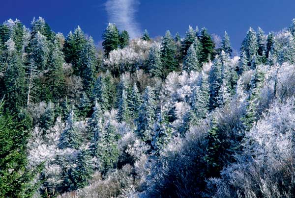 Snow at Newfound Gap - photo 3