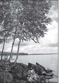 Janet Mendelsohn Acadia Region Elsewhere in Washington County Augusta Area - photo 2