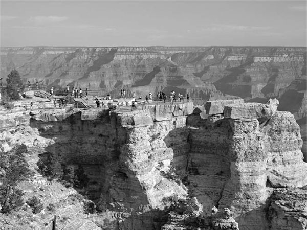 1 A GRAND ADVENTUREThe Grand Canyon In 1869 nine men climbed into four boats - photo 4