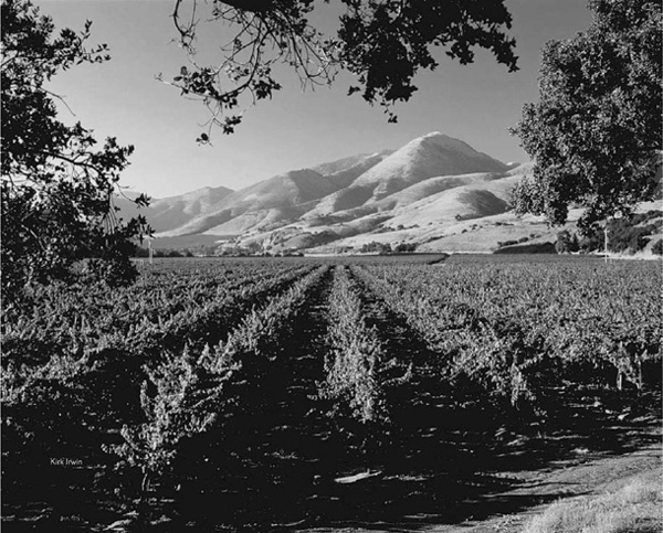 Explorers Guide Big Sur Monterey Bay Gold Coast Wine Country A Great Destination - image 1