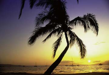 Sunset in Kihei To my wife Margaret who is still trying to figure out - photo 1