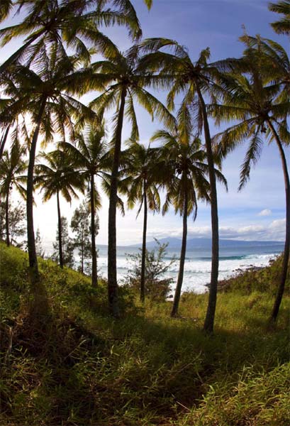 Honolua Bay Introduction Maui rates at the top among the worlds scenic - photo 9