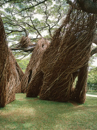 Plate 3 A sculpture by Patrick Dougherty Na Hale o waiawi 2003 Plate - photo 3