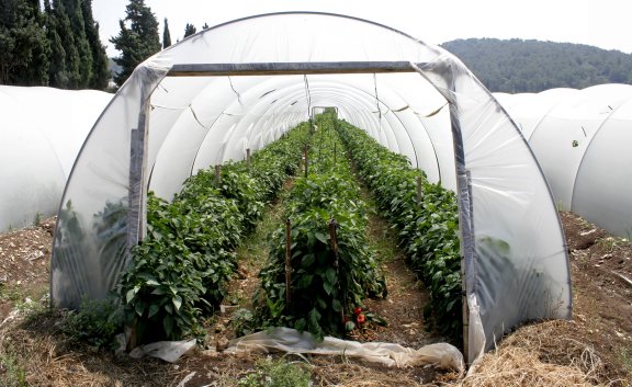 No matter what size of a hoop house you end up with your frame will always - photo 4