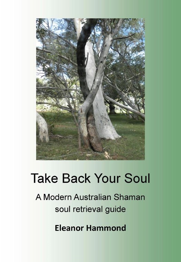 Take Back Your Soul A Modern Australian Shaman soul retrieval guide Eleanor - photo 1