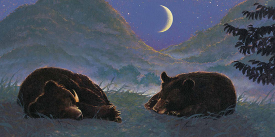 Sadly for many moon bears such a life is never granted On the dawn of this - photo 4