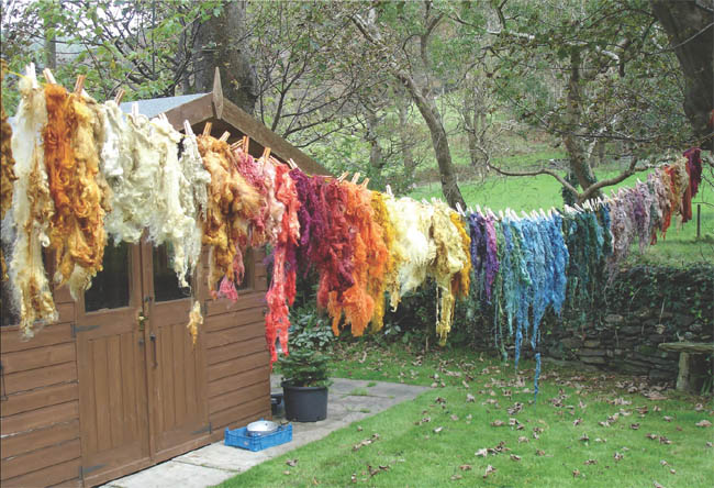 I wanted to write a book that included simple natural dye techniques allowing - photo 3