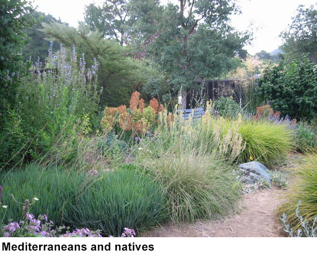 Another method is to plant your entire garden with low water plantsthese could - photo 3