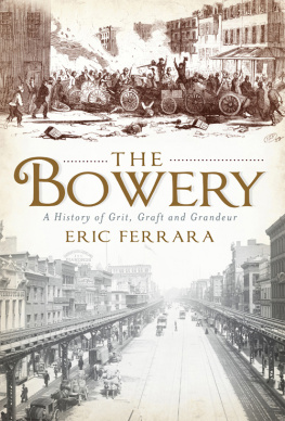 Eric Ferrara The Bowery: A History of Grit, Graft and Grandeur