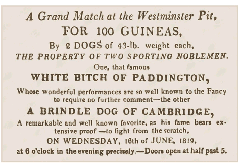 Advertising a dog fight in 1819 at the Westminster Pit Bulldog fighting was - photo 10