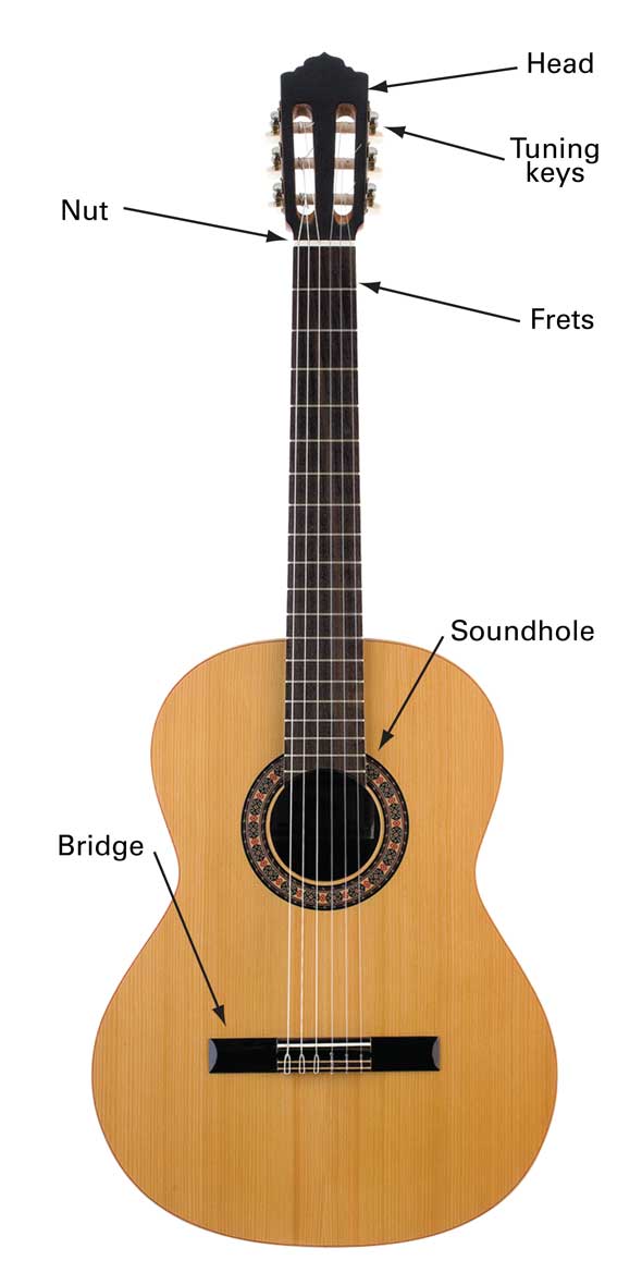 The classical guitar has nylon strings and a wider neck than the other types of - photo 10