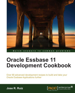 Jose R. Ruiz Oracle Essbase 11 Development Cookbook