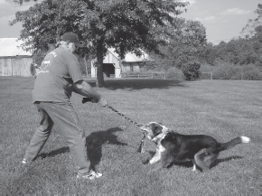 Tucker our Australian Cattle Dog mix was adopted from the Marin Humane - photo 2