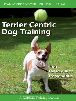 Dawn Antoniak-Mitchell Terrier-Centric Dog Training: From Tenacious to Tremendous