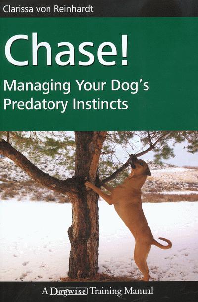 Chase Managing Your Dogs Predatory Instincts - image 1