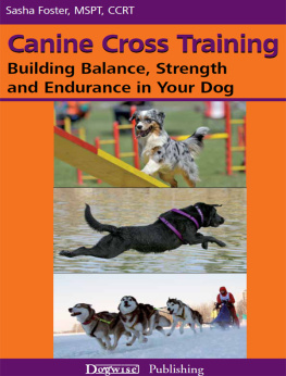 Sasha Foster Canine Cross Training: Building Balance, Strength, and Endurance in Your Dog