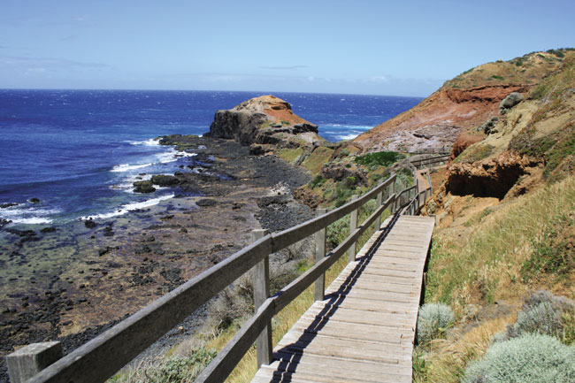 Cape Schanck Kasia Pawlikowski A cliff-top walk from Bushrangers Bay to Cape - photo 3