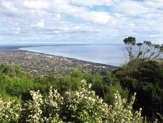 View of the bay from Seawinds Gardens Helen Grodski A walk through eucalypt and - photo 9