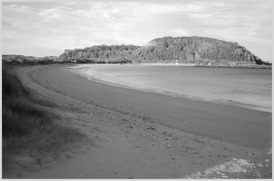 Broulee Island currently joined to the mainland A nother summer has come to - photo 3