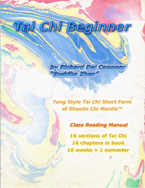 Tai Chi Beginner Class Reading Manual ebook edition by Richard Del Connor - photo 1