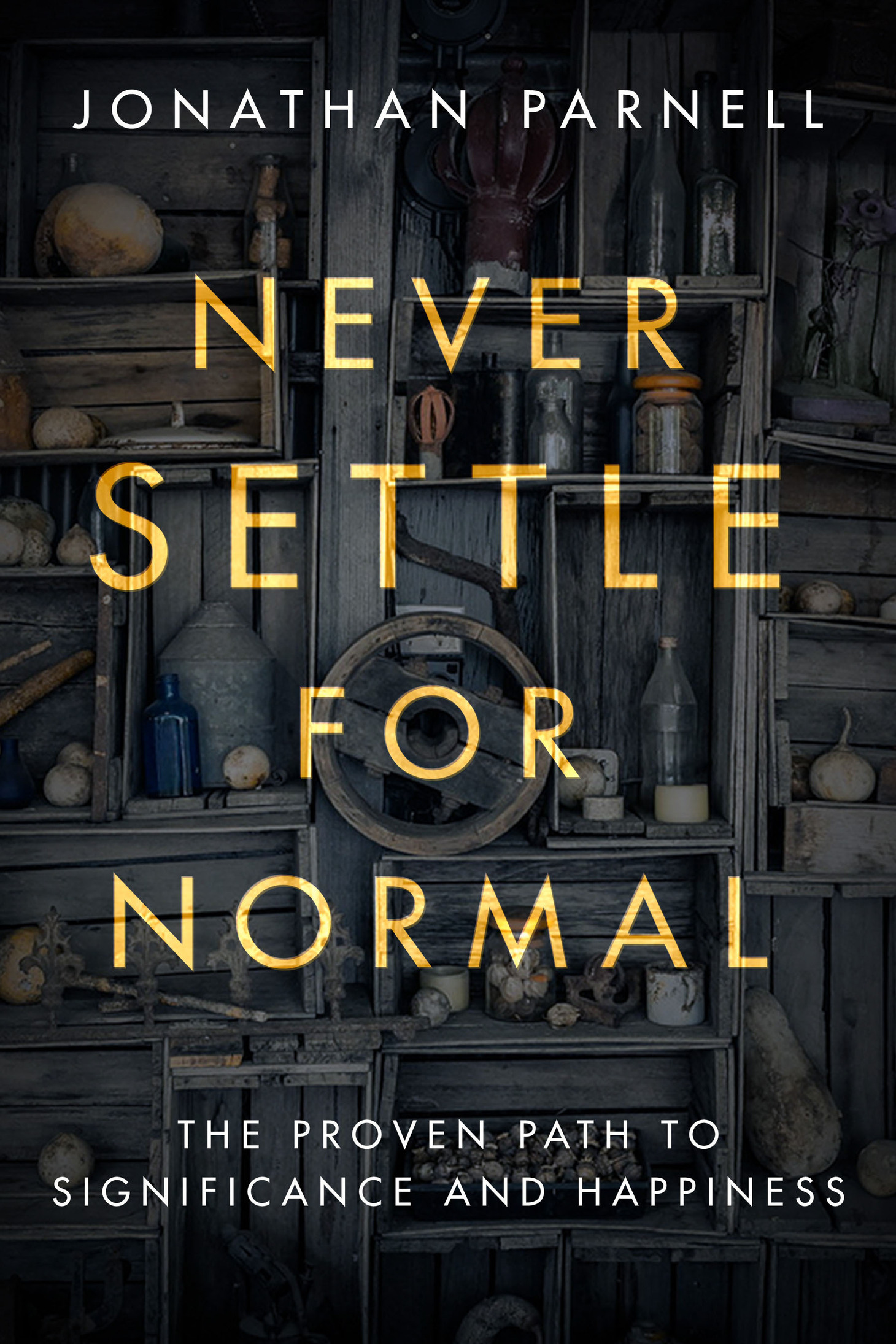 Praise for Never Settle for Normal Never Settle for Normal may be the key to - photo 1