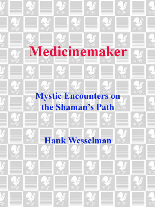 More Praise for Hank Wesselmans MEDICINEMAKER Mystic Encounters on the Shamans - photo 1