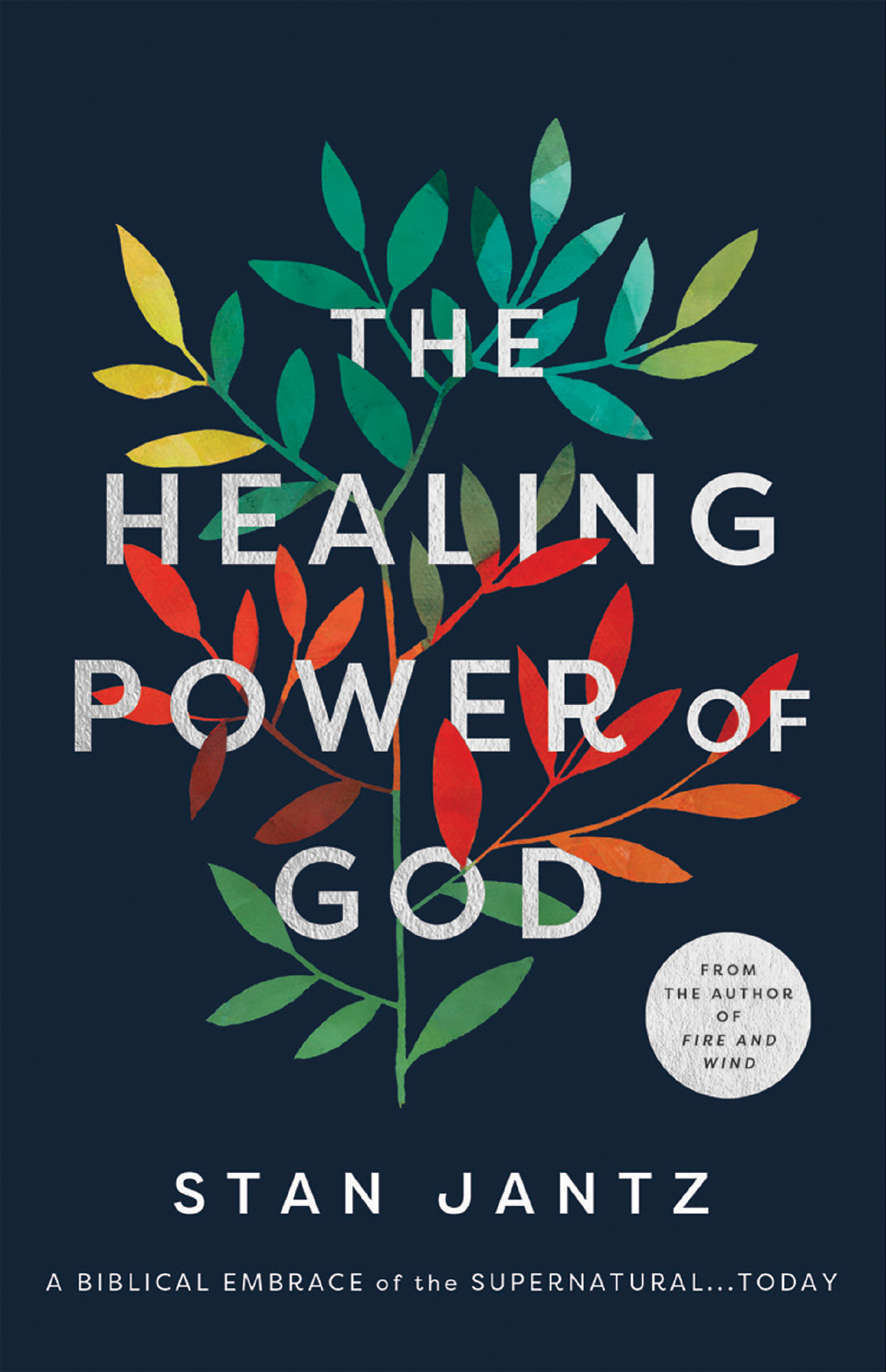 The Healing Power of God A Biblical Embrace of the SupernaturalToday - image 1