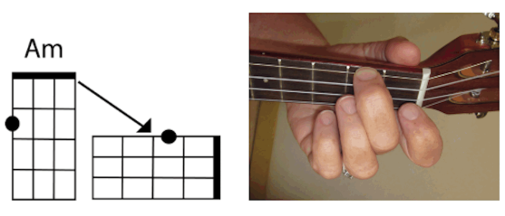 H ow to Access Your Free Video Lessons at ukuleleio Please turn to the - photo 14